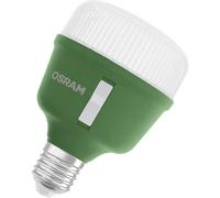 OSRAM HOMELIGHTING 4058075845800 Ampoule pour plantes E27 20 W 1 pc(s)