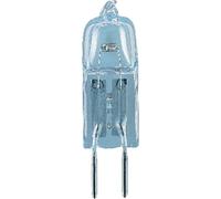 STIFTHALO 35W 12V GY6.35 2BL