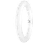 OSRAM HOMELIGHTING Tubes LED CEE: E (A - G) G10q forme d'anneau 11 W = 22 W blanc froid (Ø x L) 312 mm x 212 mm 1 pc(s)