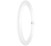 OSRAM HOMELIGHTING Tubes LED CEE: E (A - G) G10q forme d'anneau 18.3 W = 32 W blanc neutre (Ø x L) 300 mm x 300 mm 1 pc(s)