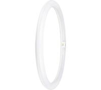OSRAM HOMELIGHTING Tubes LED CEE: E (A - G) G10q forme danneau Ballast conventionnel 24 W = 40 W blanc froid (Ø x L) 400 mm x 400 mm 1 pc(s)