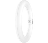 OSRAM HOMELIGHTING Tubes LED CEE: F (A - G) G10q forme danneau 11 W = 22 W blanc chaud (Ø x L) 312 mm x 212 mm 1 pc(s)