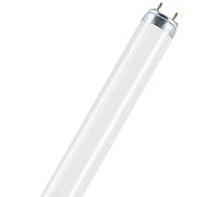 Tube fluorescent osram natura t8 mise en valeur des aliments - 18w - 750lm 3500k 20000h - durée de vie utile : 18 000?H (llmf = 90% avec alimentation