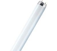 Osram Lumilux T8 G13 L 36 W/830 Ampoule fluorescente