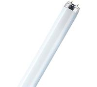 Osram L 58W/865 Ampoule Batch of 12