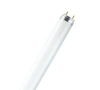 Osram L 18 W/840 ampoule fluorescente G13 Blanc froid