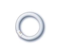 Osram Lampe Fluorescente LUMILUX C T9 G10q 865 Blanc Jour 22W