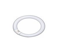 Osram Tube Fluorescent L 22W 827 C G10Q Forme Ronde Lumilux Interna Chaud Blanc