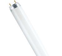 Osram Lampe Fluorescente T8 Fluora 120 cm 36 W G13 1400 lm Tube Pour Plantes