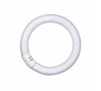 Osram Lampe Fluorescente T9 L 40W 865 Lumilux Cool Daylight G10q