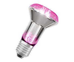 Osram LED Star avec filament et 7,5 W / 140 lm, culot E27, avec une lumière blanc chaud à 1300 Kelvin permet aux plantes de s'épanouir. Il n'est pas dimmabet mesure 63 mm de hauteur.