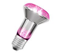 OSRAM LED Star Pflanzenlampe mit Filament und 7.5 W / 140 lm, E27 Sockel, mit warmweißem Licht bei 1300 Kelvin lässt sie Pflanzen gedeihen. Sie ist nicht dimmbar und 63 mm groß.