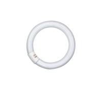 Osram LUMILUX T9 C ampoule fluorescente 40 W G10q Blanc froid