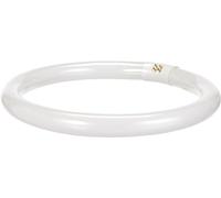 Osram Lumilux - Douille pour ampoule fluorescente, L 32W/ 840, blanc froid, circulaire, 2100 lm, 9000 h