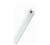 Osram L 18 W/840 ampoule fluorescente G13 Blanc froid