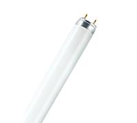 TUBE T8 L 36W 6500K 1242MM OSRAM