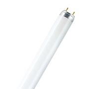Tube fluorescent osram lumilux t8 haut rendement emballage étui individuel par 25 - 36w - 3350lm 3000k 20000h - durée de vie utile : 18 000 h (lmf >