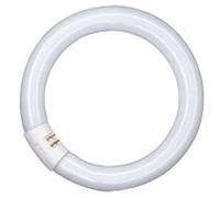 Osram LUMILUX ampoule fluorescente 22 W G10q Blanc froid