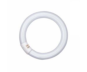 Osram T9 L 32w 865 "beignet" Lumilux G10q lumiere du jour