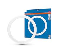 Osram Tube LED T9C EM 32, tube à LED en forme d'anneau, 18,3W, 2200lm, 6500k, lumière blanche de la lumière du jour, alternative à LED pour les lampes fluorescentes T9 classiques, vie longue durée