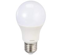 Osram Value Classic A 40 Ampoule LED 220-240 V 6 W 6500 K E27 équivalent à 40 W