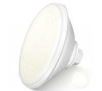OSREE Projecteur Piscine LED PAR56, 30W Lampe Piscine PAR56 3000lm Non Dimmable, IP68 Étanche Remplie Résine Ampoule Spot pour Piscines Béton et Liner, 12V AC/DC, Blanc Froid