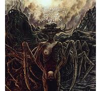 Ossuary Insane - Demonize The Flesh [VINYL] [Vinyl LP]