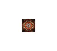 THE WISHING TREE "OSTARA" CD NEUF