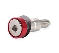 OSTREY Vis à Boulon Vis De Levier De Vitesse De Moto pour Ducati Monster 950 937 2021-2023 2022 821 2014-2020 2019 797 2017-2020 2018 2019 Pédale De Frein À Pied Accessoires De Boulon en Acier
