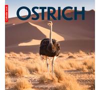 Ostrich 2026 Calendar: Amazing Ostriches in Stunning Photography - A Year of Wildlife, Humor, and African Beauty