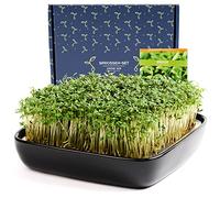 Otaro - Tamis à cresson - Kit Complet pour démarrer Directement - Barquettes de Culture de cresson pour graines germées | Barquettes de Germination, barquettes de cresson, graines de cresson