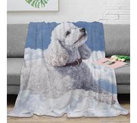 OTBSDNKZZ 3D Imprimé Caniche Chien Portrait Plaid de Salon Microfibre Toutes Saisons Artistique Animal Painting Couverture Lavable en Machine pour Jeunes Salariés Colocataires 50x60inch(127x152cm)