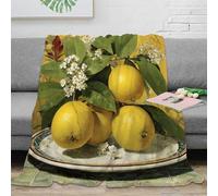 OTBSDNKZZ 3D Imprimé Lemons with Fleurs Couverture Microfibre Infroissable Still Life Painting Plaid Doux Chaud pour Jeunes Gammers Salariés Locataires 80×90inch(200x230cm)