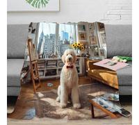 OTBSDNKZZ 3D Imprimé Living Room Plaid de Salon Microfibre Literie Modern Urban Couverture Polaire Cadeau Anniversaire pour Amoureux 70×80inch(180x200cm)