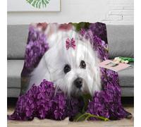 OTBSDNKZZ 3D Imprimé Mignon White Chien Jeté de Lit Microfibre Literie Animal Portrait Plaid de Voyage Compact pour Jeunes Voyageurs Campeurs 40x50inch(100x130cm)