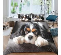 OTBSDNKZZ Cavalier Puppy Parure de Lit Ultra Douce Microfibre Hypoallergique 3 Pièces Adorable Pet Style Linge de Lit avec 2 x Taies d'oreiller Confortable for Enfants Garçons Ado King（220x240cm）