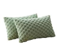 Otbushit Lot de 2 Housses de Coussin 30 x 50 cm, Vert Sauge, en Polaire Ultra Douce pour canapé et lit, Coussin décoratif avec Fermeture éclair dissimulée, Texture Velours Moderne
