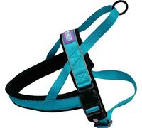 Other Dog & Co Harnais norvégien en Nylon réfléchissant Aqua Taille S
