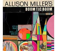 Otis Was a Polar Bear by Allison - Boom Ti Miller