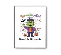 Otshirt Affiche Mon Monstre Prefere Cest Mon Sacre de Birmanie - Poster A4 - Idée Affiche Décoration Cadeau Anniversaire Fête Original Famille Travail Départ Collègue Retraite Noël.