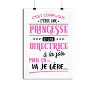 Otshirt Affiche Princesse et directrice | Imprimé en France, Cadeau Humour décoration Murale Poster Citation Anniversaire
