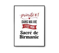 Otshirt Affiche Priorite N1 dans ma vie Cest mon Sacre de Birmanie - Poster A4 - Idée Affiche Décoration Cadeau Anniversaire Fête Original Famille Travail Départ Collègue Retraite Noël.