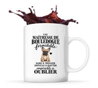 Otshirt Mug Bouledogue Français Formidable | Tasse Céramique 330 ml Recto Verso Passe au Lave-Vaisselle | Café Thé Bureau Maison | Idée Cadeau Propriétaire de Chien Collègue Noël Départ