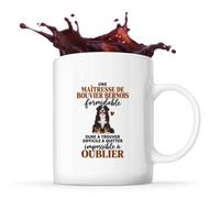 Otshirt Mug Bouvier Bernois Formidable | Tasse Céramique 330 ml Recto Verso Passe au Lave-Vaisselle | Café Thé Bureau Maison | Idée Cadeau Propriétaire de Chien Collègue Noël Départ