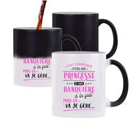 Otshirt Mug Magique Princesse et Banquiere | Mug qui change couleur avec la chaleur | Idée Cadeau Petite Amie Copine Collègue Maman Noël Anniversaire Fête des Mères