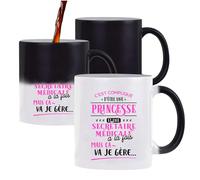 Otshirt Mug Magique Princesse et Secrétaire Médicale | Mug qui change couleur avec la chaleur | Idée Cadeau Petite Amie Copine Collègue Maman Noël Anniversaire Fête des Mères