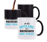 Otshirt Tasse Magique Je suis Bipolaire | Mug qui change couleur avec la chaleur | Idée Cadeau Humour Drôle Marrant Jeu de Mots Original Anniversaire Fête