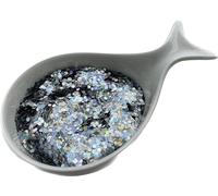 otto-online-handel 1 kg de copeaux de peinture pour résine époxy, sol de garage, revêtement de sol, copeaux décoratifs (hollogramme argenté)