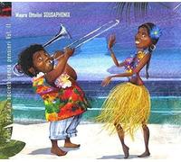 Ottolini, Mauro - Musica per Una Societa'. [Import]
