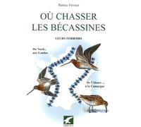 Où chasser la becassine